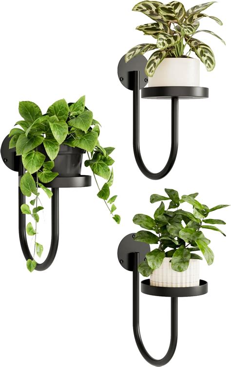 Amazon.com: Bamworld Wall Plant Holder Wall Planters for Indoor Plants ...