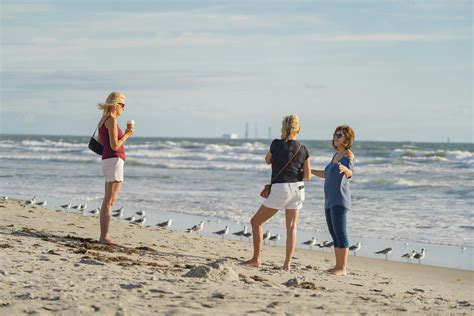 Swim 的图像结果