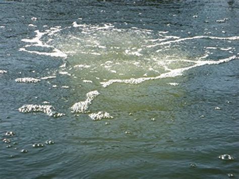 Buy ALL AMERICAN AERATOR {AAA-02} Aquatic Subsurface Diffuser Plate ...