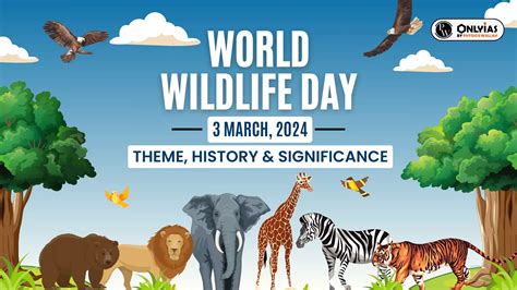 World Mountain Day