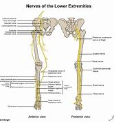 extremities 的图像结果