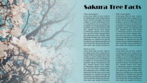 Image result for InDesign Gradient Feather