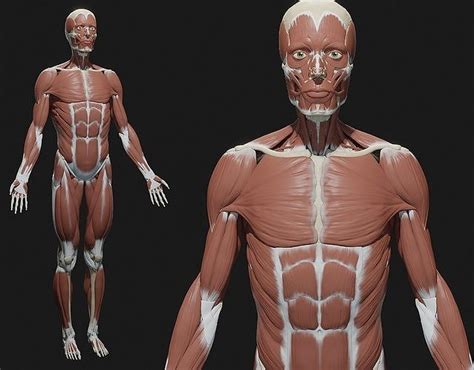 Image result for Anatomy of a Function in JavaScript
