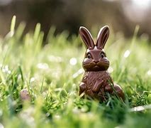 Image result for Chocolate Easter Bunny Cartoon