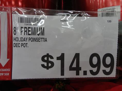 BJ’s Poinsettia Prices | Chambersburg, PA - SHIP SAVES