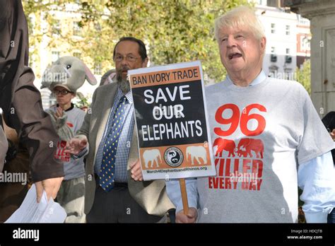 No-Trade No Killing 的图像结果