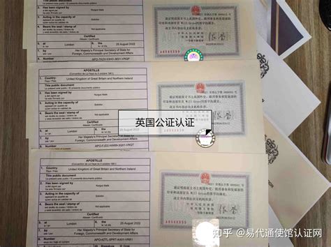 2017版外国人永久居留身份证启用_图片新闻_中国政府网