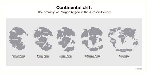 Jurassic Period: what it is, division and characteristics