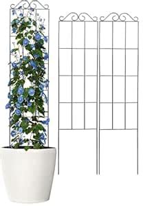 Lavish Craft 30'' Metal Garden Trellis for Climbing Plants,(Pack of 2 ...