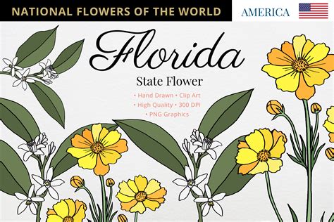 What Is Florida S State Flower at Jaxon Cockerill blog