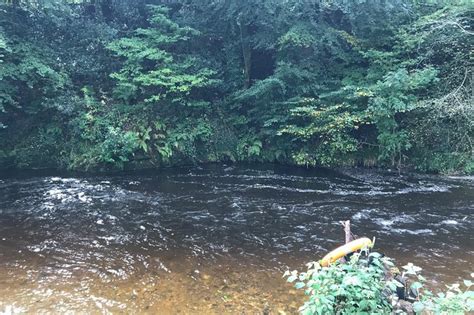 Forest Wood Fired Sauna & Cold Water River Swim (with Reviews)