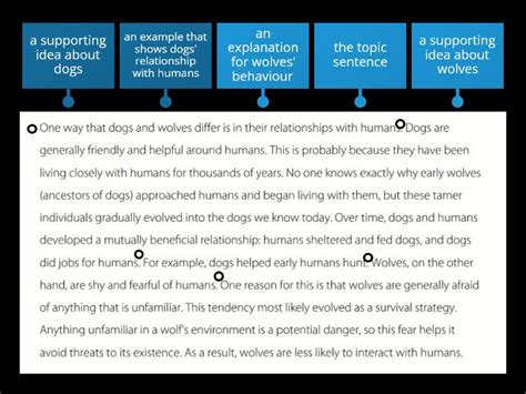 Image result for Paragraph Structure Types