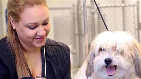 Animal Care Courses - Smart Courses