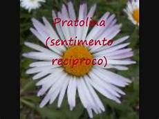frasi e fiori ditelo con i fiori frasi e fiori ditelo con i fiori