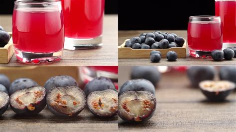 蓝莓汁蓝莓酒蓝莓_视频素材下载_编号:24564022_光厂(VJ师网) www.vjshi.com