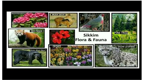 Image result for Ifference Between Parallel Computing and Distributed Computing