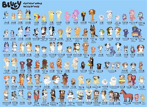 Pin by Nicola on Bluey! 💙🧡 | Bingo funny, Cute cartoon wallpapers, Good cartoons