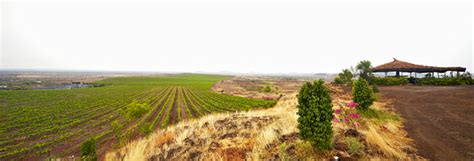 Plan your next getaway at the Fratelli Vineyards in Maharashtra | GQ ...