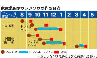 Image result for Parallel versus Sequential Process Visual