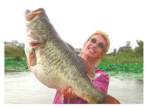 Largemouth bass, even those such as Manabu Kurita’s world record-tying ...