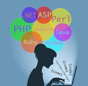 专业解读 软件开发.Net：最容易入门的程序员 - 知乎