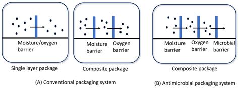 An Overview of Advanced Antimicrobial Food Packaging: Emphasizing Antimicrobial Agents and ...