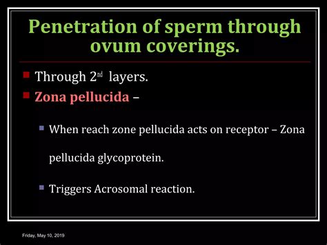 PHYSIOLOGY OF PREGNANCY | PPT