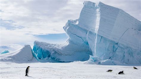 Antarctic Explorer Express | Antarctica Cruises