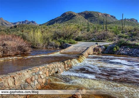 Bear Canyon Campground Montana: Camping Reservations & Amenities
