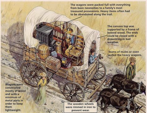 The wagons on the Oregon Trail were packed full of everything from ...
