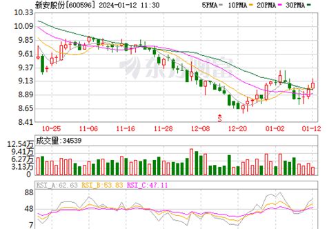 新安股份股票_数据_资料_信息 — 东方财富网