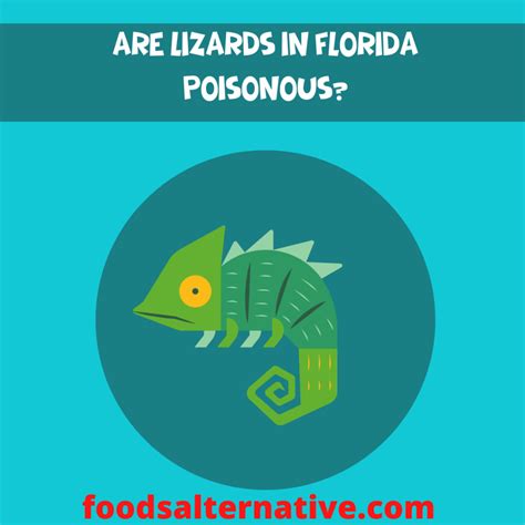 Lizards In Florida Poisonous