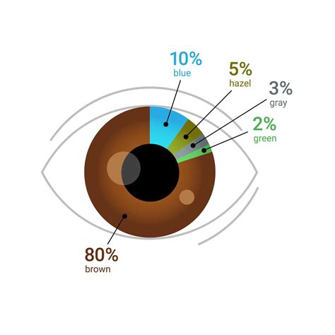 Eye color percentage across the globe. Human eye with pie chart diagram. Flat vector ...