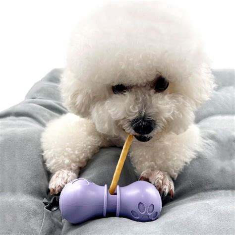 BoniVet Bully Stick Holder for Dogs, Chew Holder, Prevent Choking ...