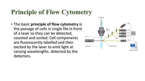Flow Cytometry Tutorial 的图像结果