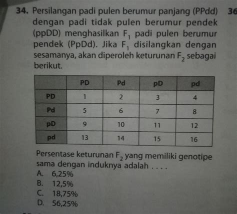Contoh Soal Persilangan Monohibrid: Panduan Lengkap