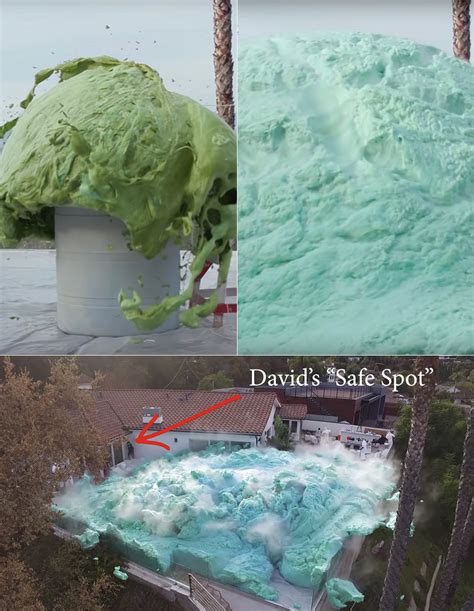 Image result for Elephant Toothpaste World Record