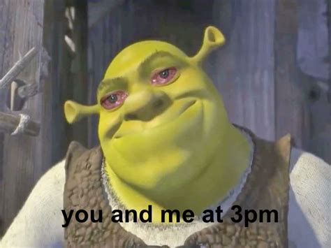 25 Best Memes About Images Of Shrek Images Of Shrek Memes From Shrek ...