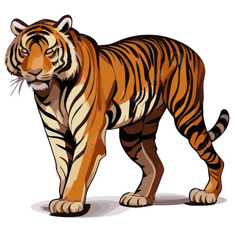 Bengal Tiger Clip Art