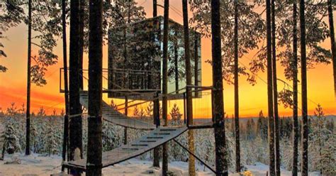 These Treehouses In Sweden's Jungle Are What Childhood Dreams Are Made Of!