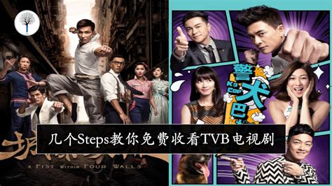 2019tvb电视剧排行_2015年10部TVB剧集推荐 无线落重本对抗港视(3)_中国排行网