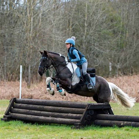 What Is Cross Country Horse at Charles Cloyd blog