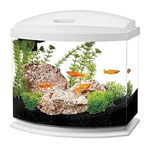 Aqueon LED MiniBow Aquarium Starter Kits with LED Lighting, 5 Gallon ...