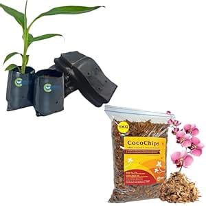 SUSHILA AGROFERT Plant Growing Bags 5X4 Inches 250 Pieces Small Size ...