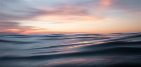 Ocean Knowledge Graph 的图像结果