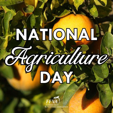 Florida Fruit & Vegetable Association (FFVA) on LinkedIn: Happy ...