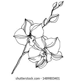 Design Drawing 的图像结果