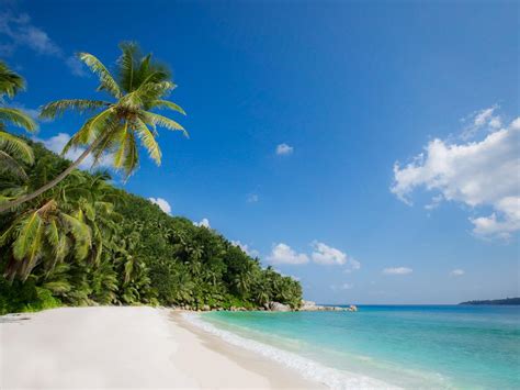Resort "Six Senses Zil Pasyon" on Félicité (Seychelles) - SeyVillas.com