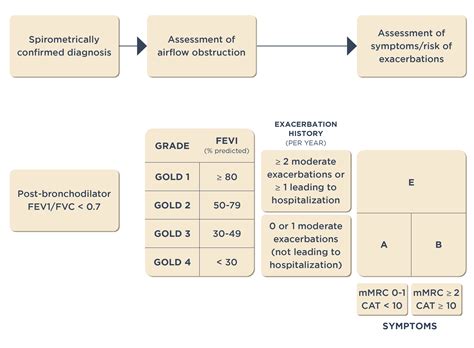 GOLD Treatment Guidelines for COPD│Campus Sanofi