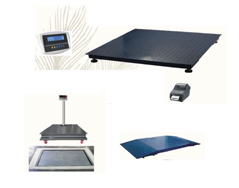 Platform Scale 的图像结果